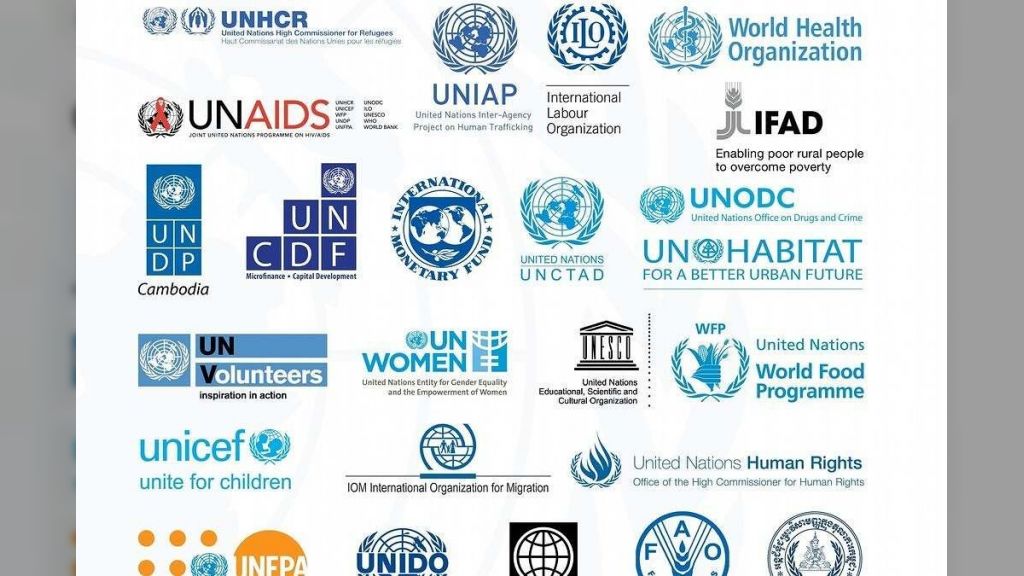 116 منظمة أممية ودولية تدعو إلى تحرك فوري لإنقاذ اليمن من حافة الهاوية