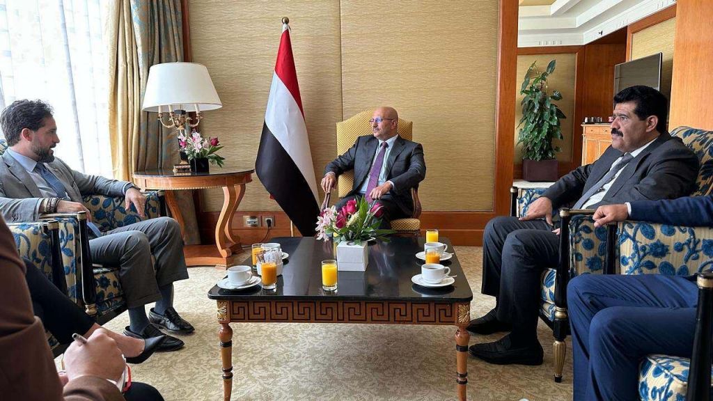 طارق صالح يبحث مع القائم بالأعمال الأمريكي جهود مواجهة تهريب السلاح الإيراني