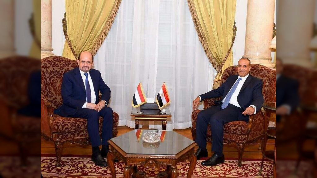 وزير الخارجية يبحث مع نظيره المصري العلاقات الثنائية والتعاون المشترك