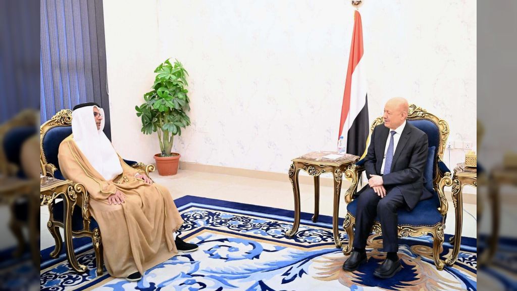 رئيس مجلس القيادة يشيد بالدعم الاماراتي لقطاع الكهرباء في اليمن