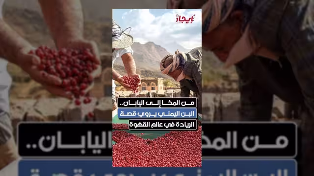 البن اليمني من المخا إلى اليابان.. قصة ريادة عالمية