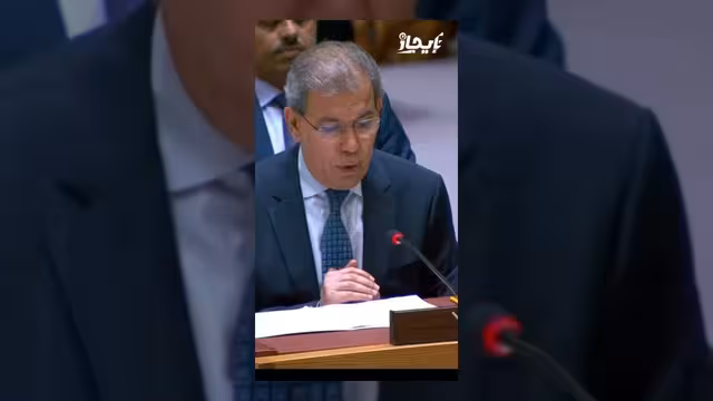 اليمن يتهم طائرة إيرانية بنقل معدات عسكرية لمجلس الأمن
