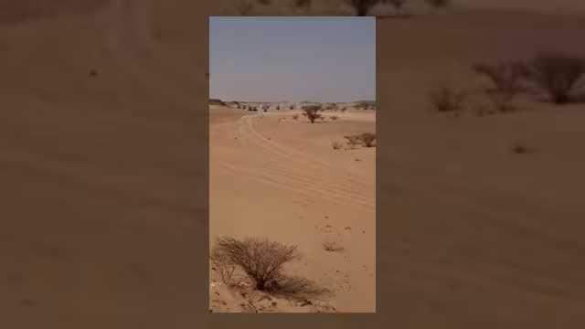 مشاهد لوصول قبائل حاشد إلى مطرح الكرامة دعماً للنكف القبلي