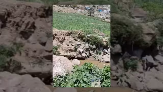 استخدام مياه الصرف الصحي في ري المحاصيل بمحافظة إب يثير مخاوف صحية