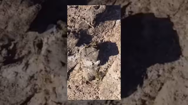 عملية "الوعد الحاسم" تستهدف ثكنات الحوثيين في صعدة