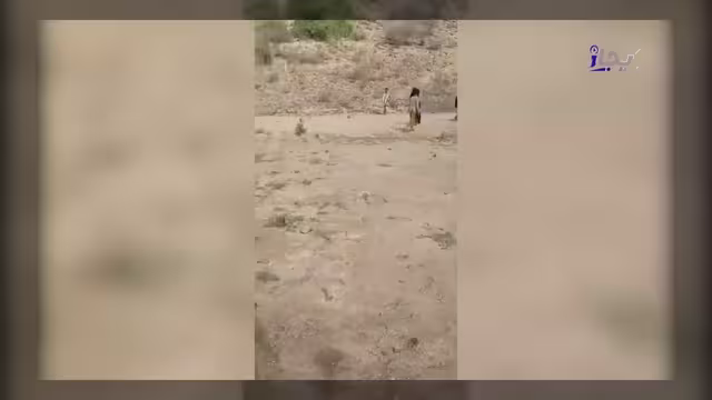 مليشيا الحوثي تصادر ممتلكات مجند سابق مصاب بالشلل في عمران
