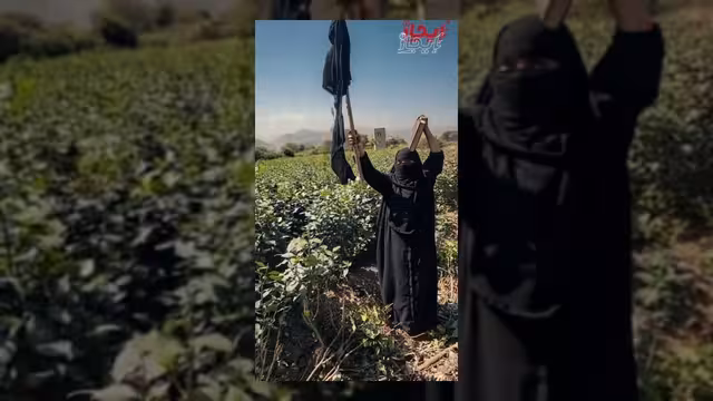 امرأة تحرق خمارها استغاثةً من اعتداء مشرفين حوثيين في إب