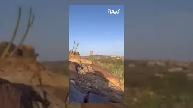 الجيش اليمني يسيطر على عدة مناطق استراتيجية في محافظة البيضاء