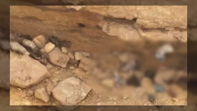 تدمير لواء قتالي حوثي بالكامل في جبهة البلق الشرقي بمأرب