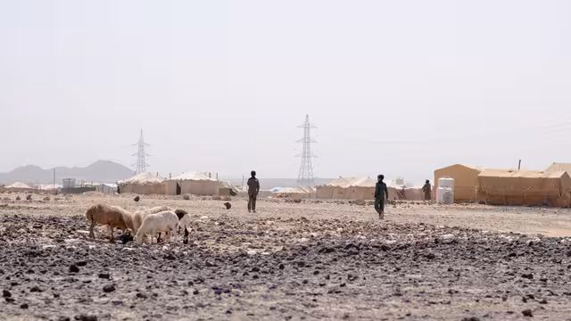 تقرير حكومي: نزوح نحو 147 ألف شخص جراء التصعيد الحوثي