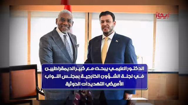 عضو مجلس القيادة: التهديد الحوثي تجاوز الحدود ويستهدف المصالح الدولية