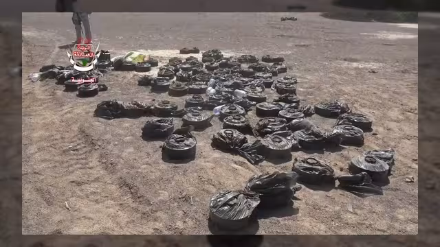 قوات العمالقة تنجح في نزع مئات الألغام بمديرية ذوباب