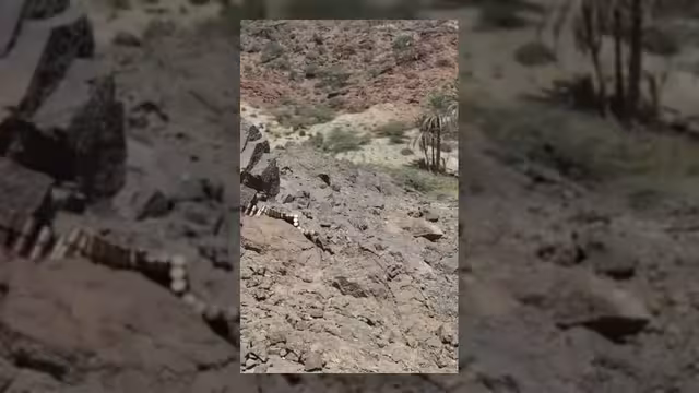 أبطال اللواء الثالث يقتحمون مواقع مليشيا الحوثي في جبهة المحاولة