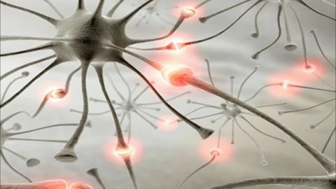 كيف تمحو الذكريات السيئة؟