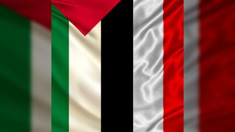 اليمن تستنكر اقتحام قوات الاحتلال الاسرائيلي لمستشفى الشفاء بقطاع غزة