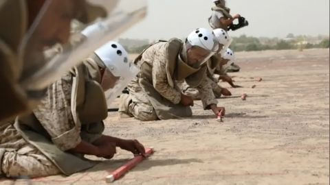 44b652f9 - 77e8 - 4ec1 - aa73 - 88e67eeac4a1_16x9_1200x676 (1)