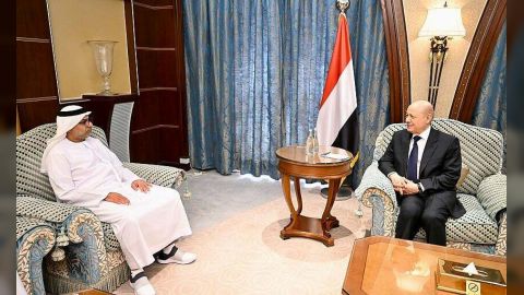 رئيس مجلس القيادة يشيد بالتدخلات الاماراتية الانمائية في مجال الطاقة المتجددة