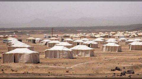 02 - 06 - 23 - 7875782