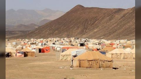 986ec795fe - 7d46cde7 - 8cf4 - 46e8 - 9faa - 28c822e25aef