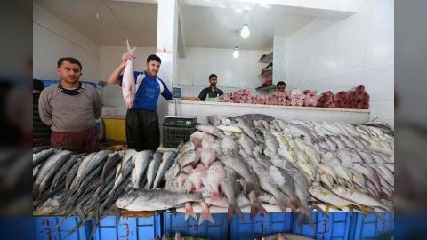 سوق - البليلي - صنعاء - سوق - السمك - في - صنعاء