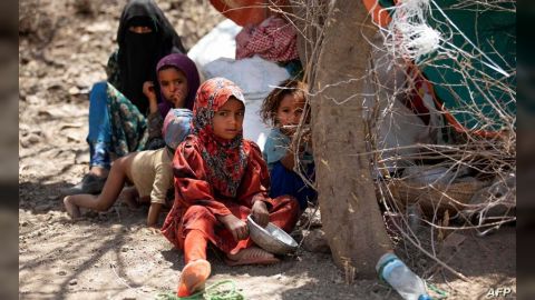 الأمم المتحدة: 17. 1 مليون يمني سيعانون من انعدام الأمن الغذائي خلال فبراير الجاري