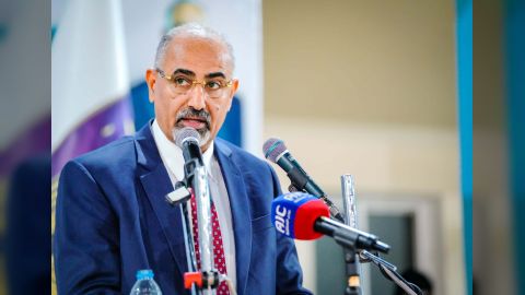 الزبيدي: حماية ممرات الملاحة الدولية يتطلب استراتيجية شاملة