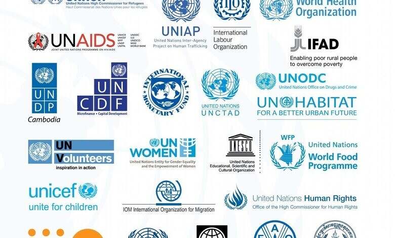 116 منظمة أممية ودولية تدعو إلى تحرك فوري لإنقاذ اليمن من حافة الهاوية