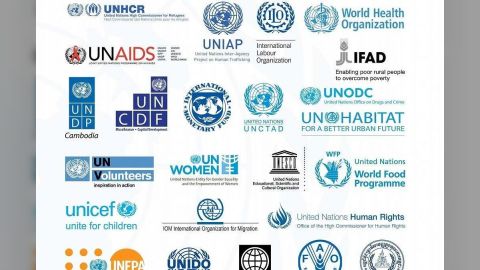 116 منظمة أممية ودولية تدعو إلى تحرك فوري لإنقاذ اليمن من حافة الهاوية