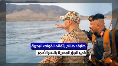 طارق صالح يثني على جهود المقاومة الوطنية في حماية الجزر البحرية