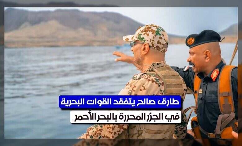 طارق صالح يثني على جهود المقاومة الوطنية في حماية الجزر البحرية