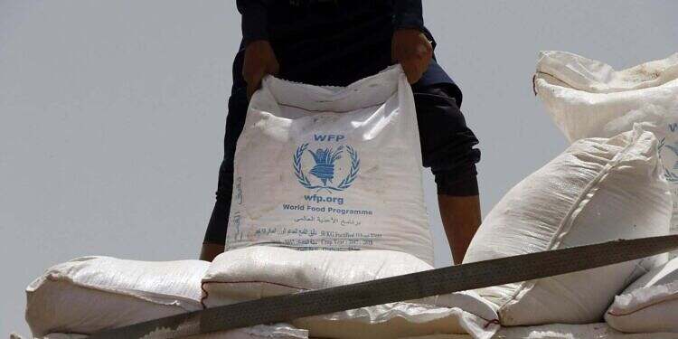 الغذاء العالمي: الحوثيون احتجزوا 29 من موظفينا هذا العام