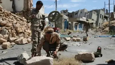 envato-labs-image-edit (22)