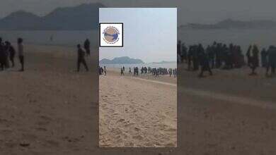 قوات العمالقة تحبط تهريب 205 مهاجرًا أفريقيًا في عملية بحرية ناجحة