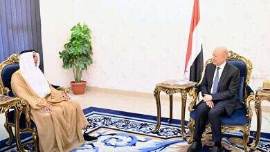 رئيس مجلس القيادة يشيد بالدعم الاماراتي لقطاع الكهرباء في اليمن