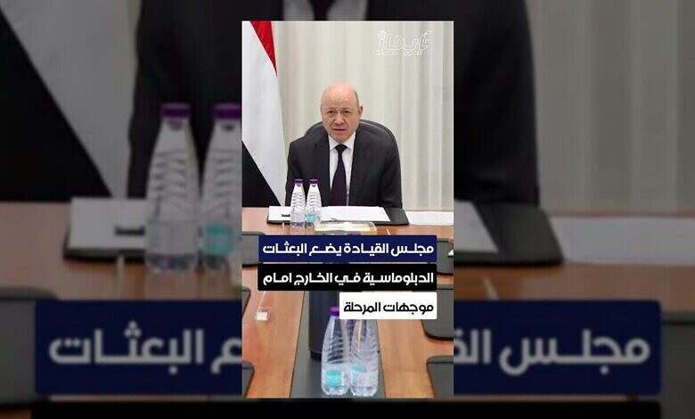 الرئيس يحذر من الفوضى ويدعو لحماية وحدة القرار في اليمن