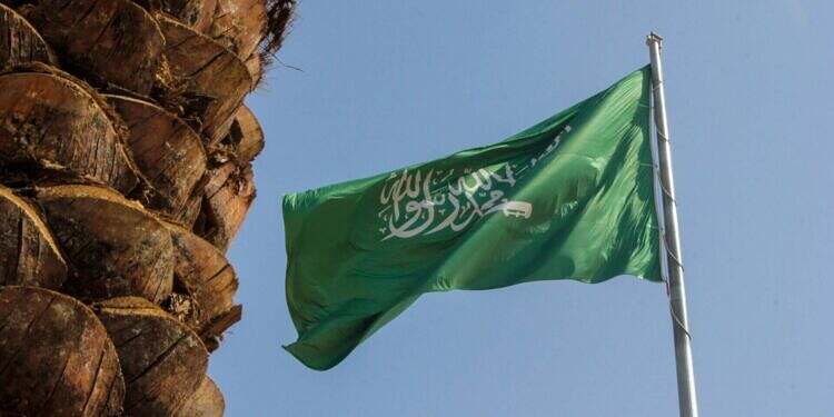 السعودية: التحركات العسكرية للمجلس الانتقالي في حضرموت والمهرة أضرت بمصالح الشعب اليمني وجهود التحالف