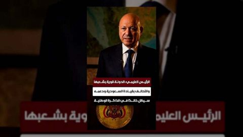 الرئيس العليمي يؤكد قوة اليمن ويحذر من تقويض مؤسسات الدولة