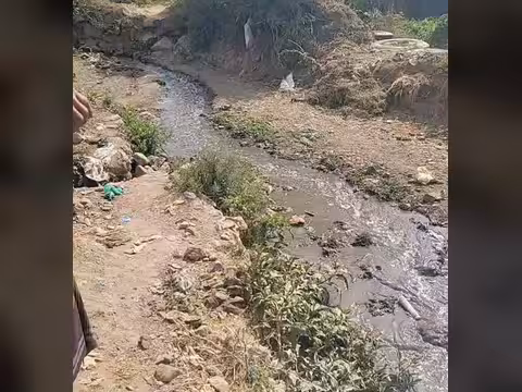 مسؤول حوثي في إب: كارثة الري بمياه الصرف الصحي ستظل وصمة عار في جباهنا ولعنة تلاحقنا