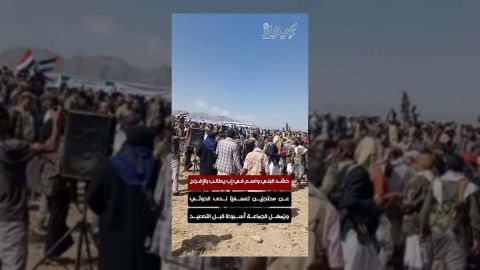 قبائل إب تطالب بالإفراج عن معتقلين حوثيين رغم الأحكام القضائية