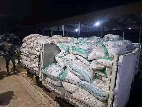 مزارعو القمح يشكون من قيود حوثية تسببت بتكدس محاصيلهم